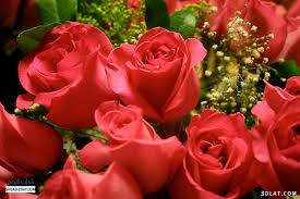 منهج مدفوع لاختبار المقاسات) مطلوب موافقة مدير النظام(